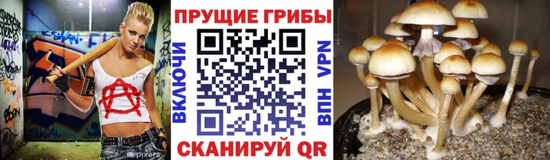 Галлюциногенные грибы GOLDEN TEACHER  Заволжье 