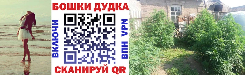 Марихуана SATIVA & INDICA  Заволжье 